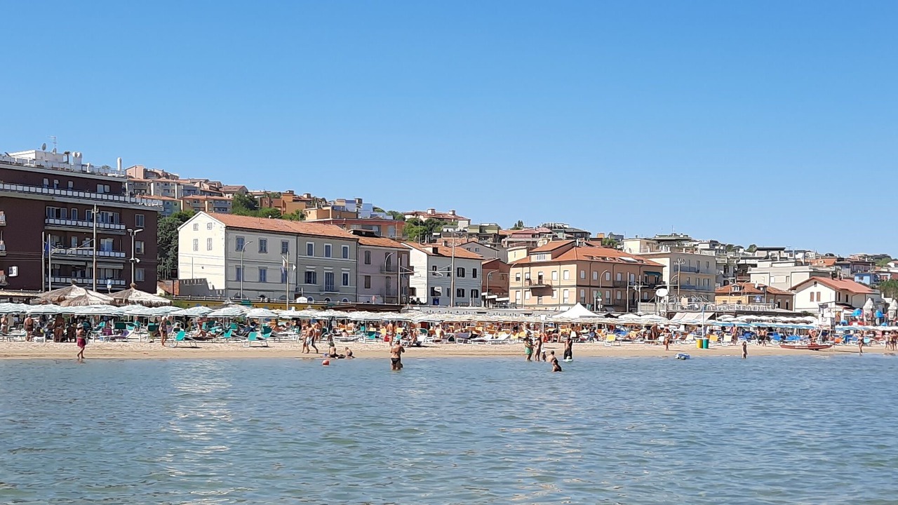 Photo of Others in Falconara Marittima