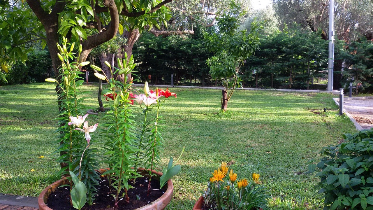 Photo of Outdoor in Marina Di Camerota