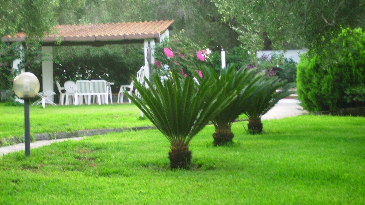 Photo of Outdoor in Marina Di Camerota