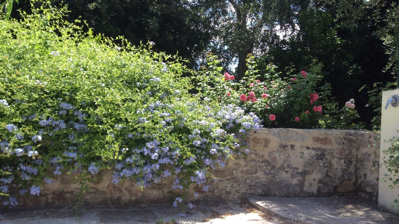 Photo of Outdoor in Mandrione