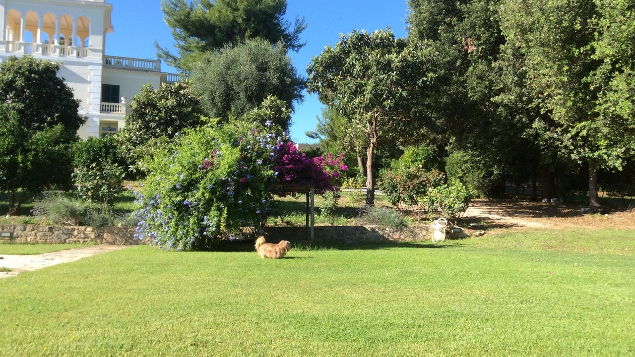 Photo of Outdoor in Mandrione