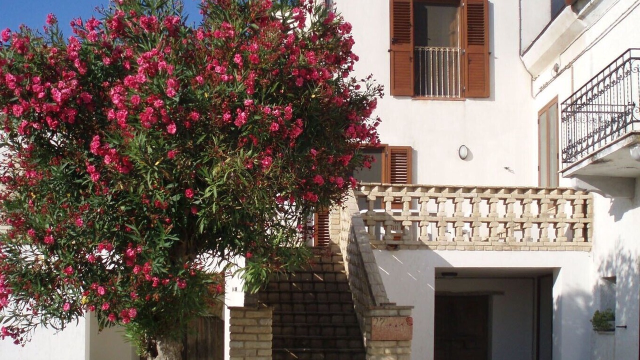 Photo of Others in Ortona