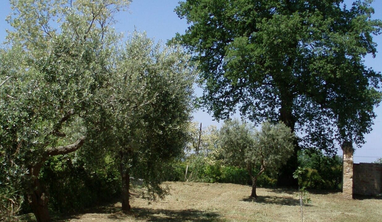 Photo of Outdoor in Ortona