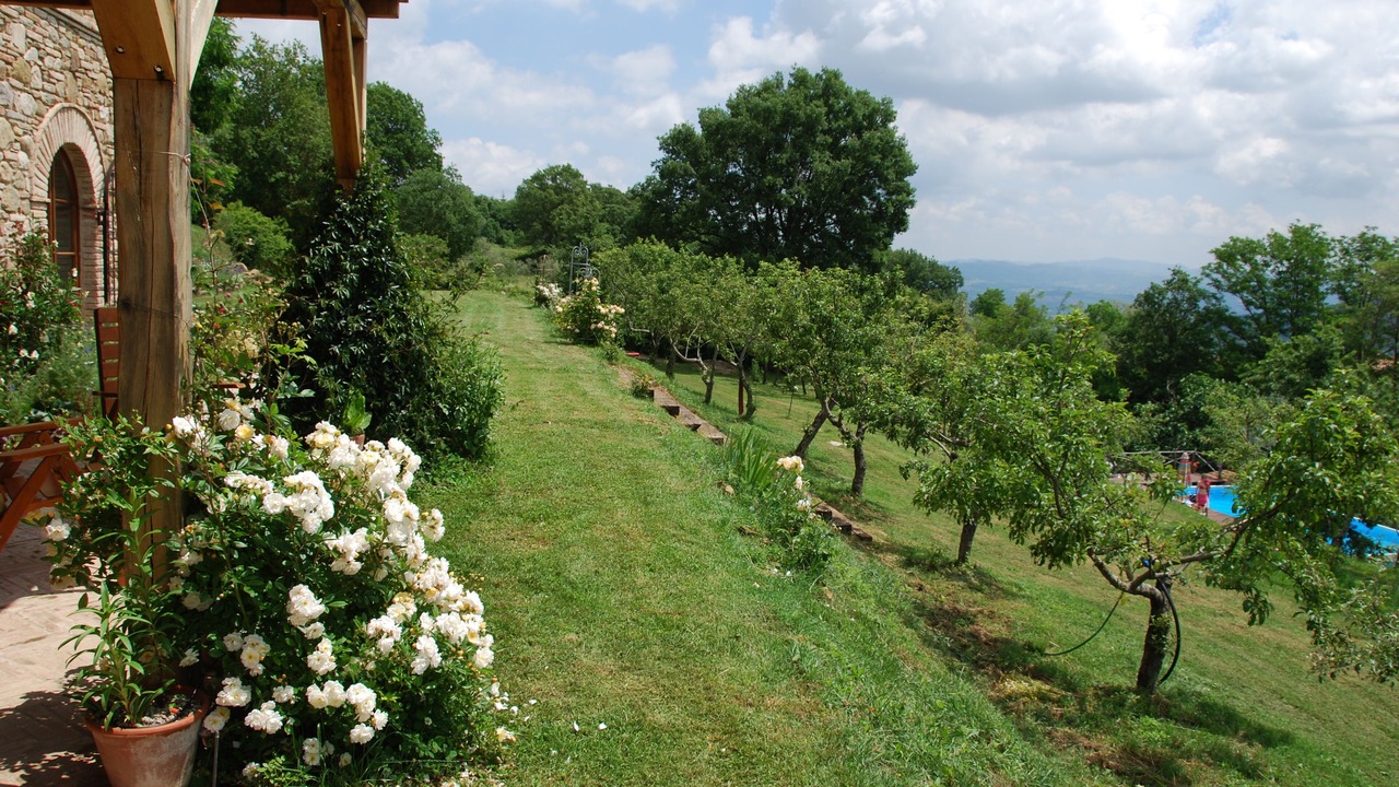 Photo of Outdoor in Umbertide