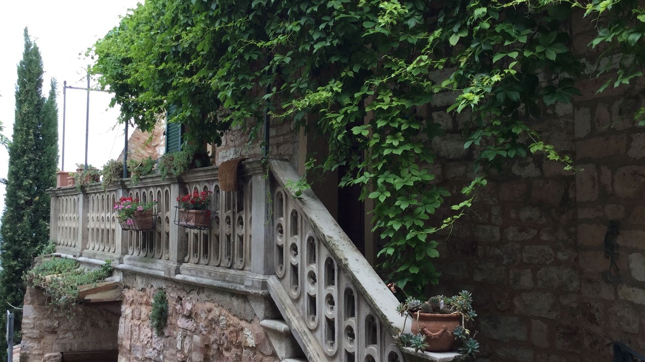 Photo of Others in Spello