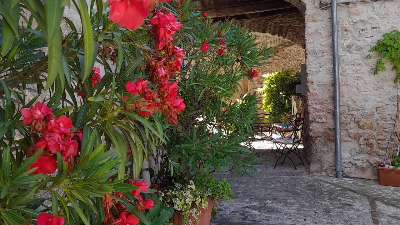 Photo of Outdoor in Messenano