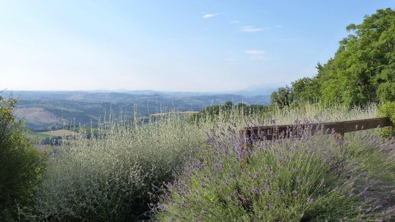 Photo of Outdoor in Chigiano