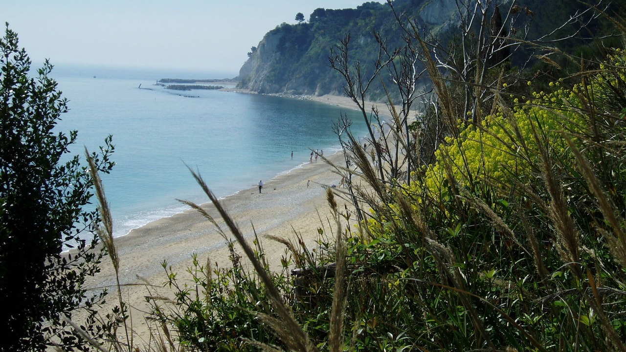 Photo of Others in Chigiano