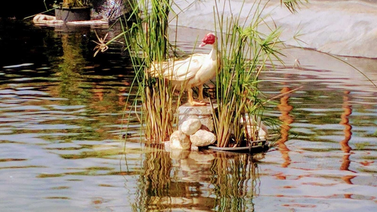 Photo of Outdoor in Campagna