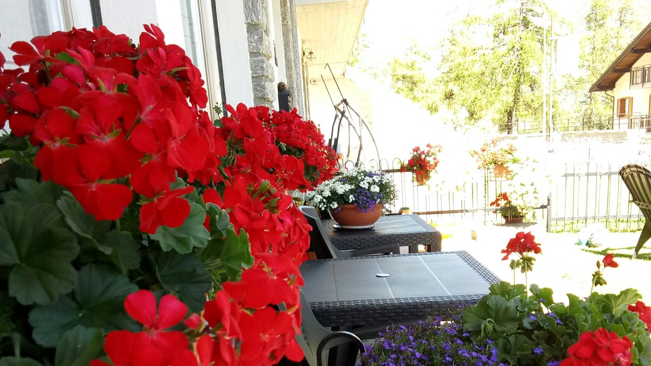 Photo of Outdoor in Dzovennoz