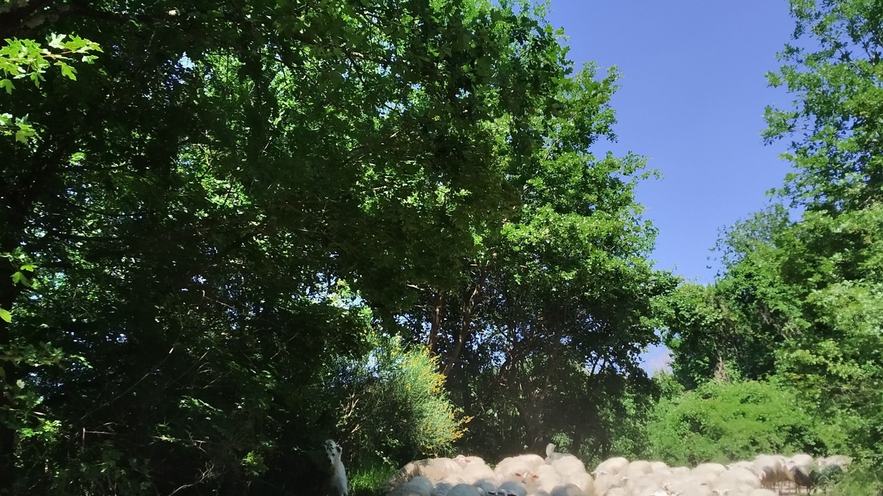 Photo of Outdoor in San Giovanni del Pantano