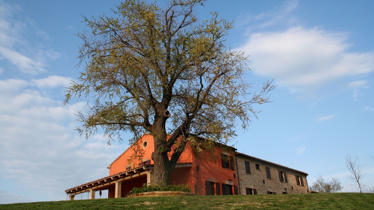 Photo of Others in San Costanzo