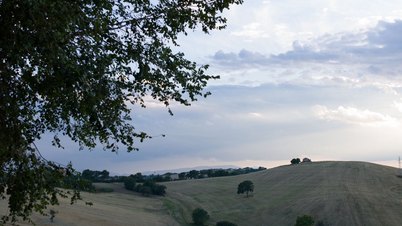 Photo of Others in San Costanzo