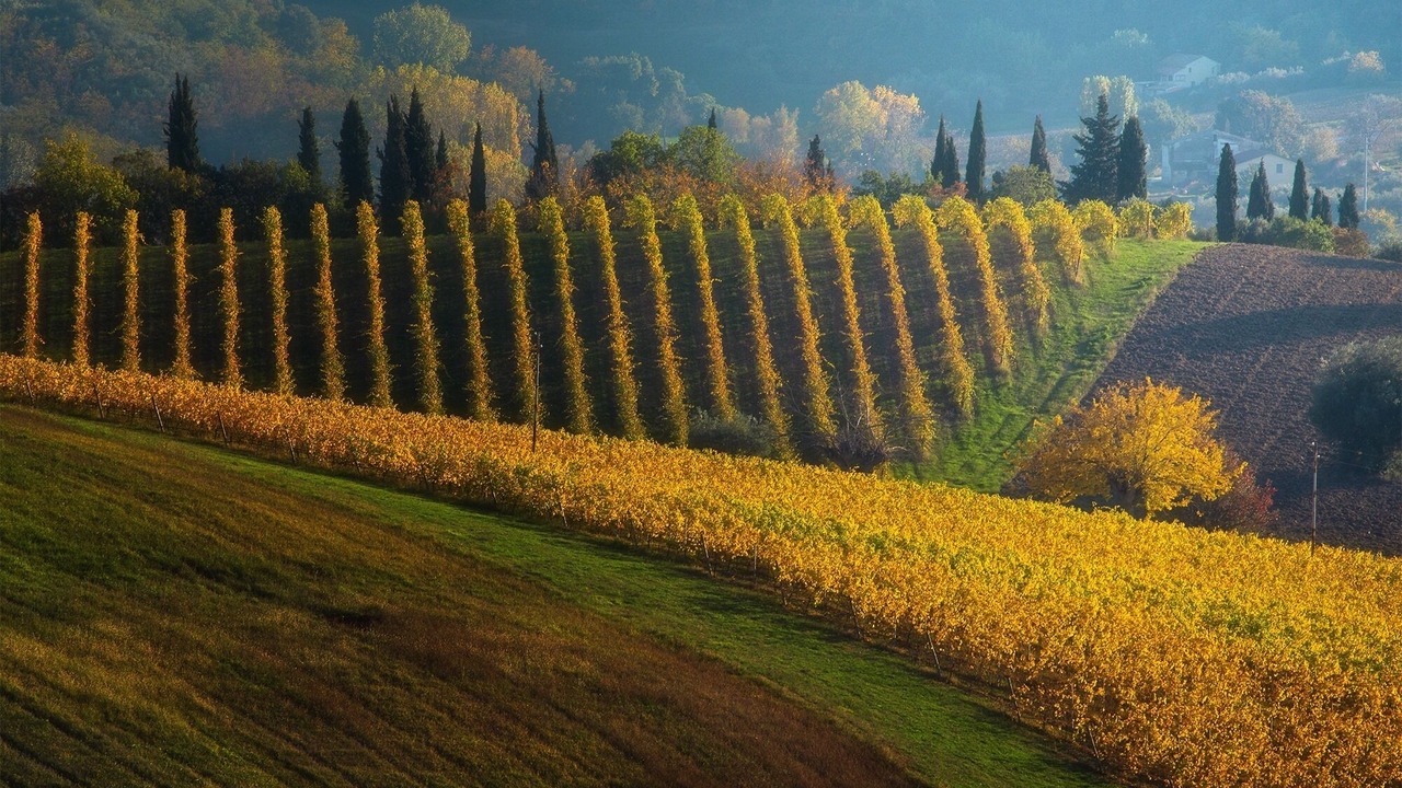 Photo of Others in Macerata