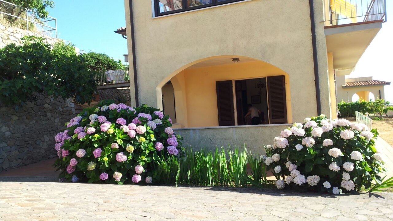 Photo of Outdoor in Isola del Giglio