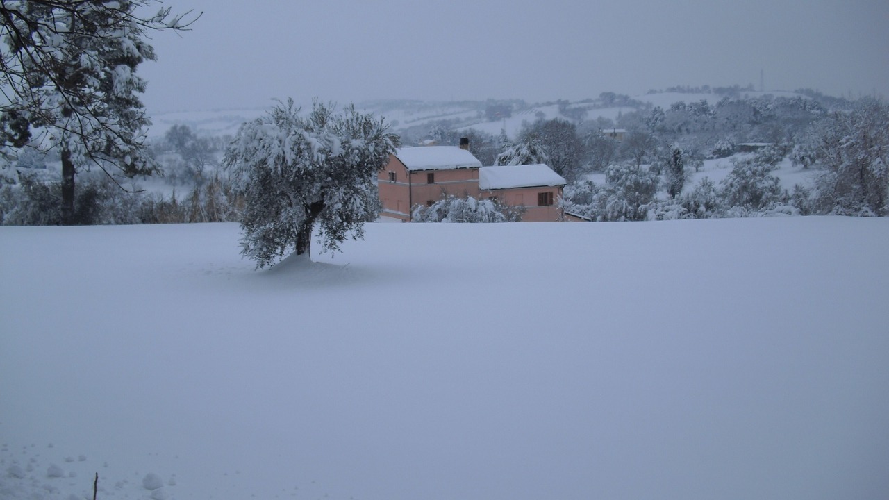 Photo of Outdoor in Scapezzano