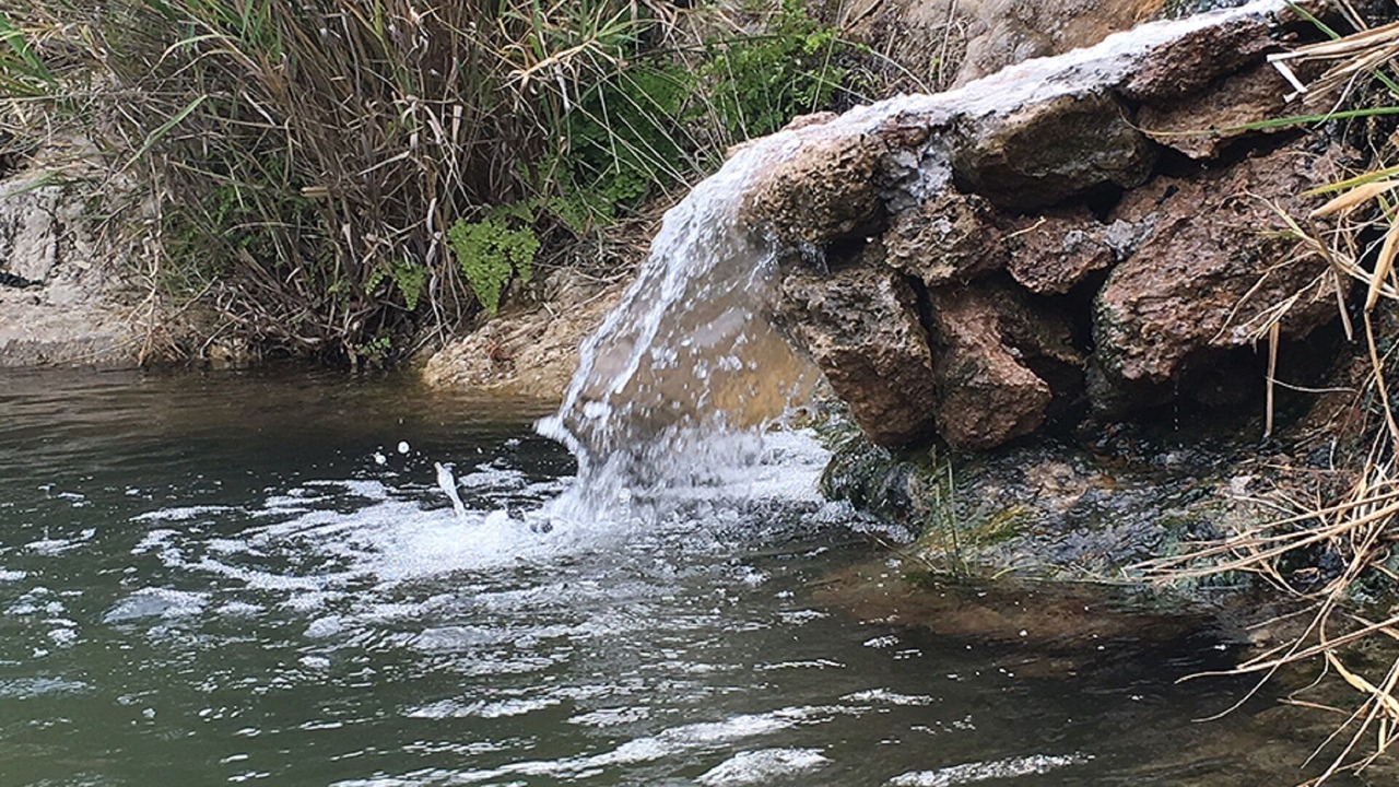 Photo of Others in Saturnia