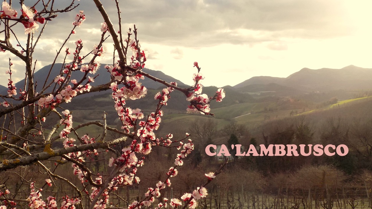 Photo of Outdoor in Cagli