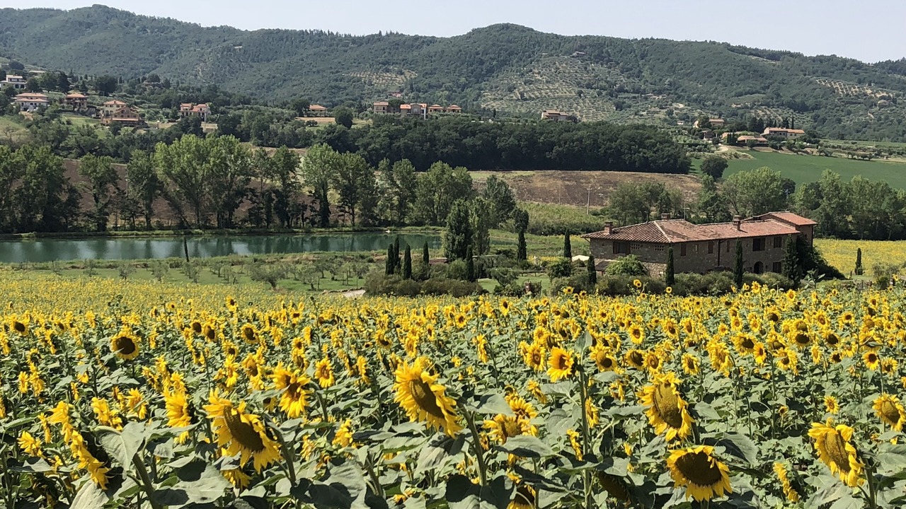 Photo of Outdoor in Paciano
