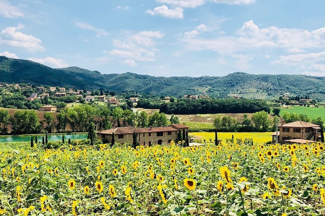 Photo of Outdoor in Paciano