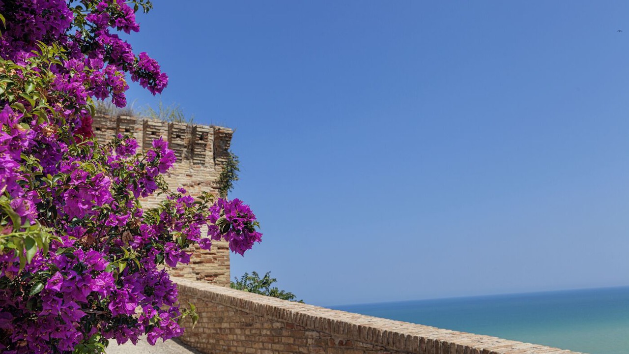Photo of Outdoor in Cupra Marittima