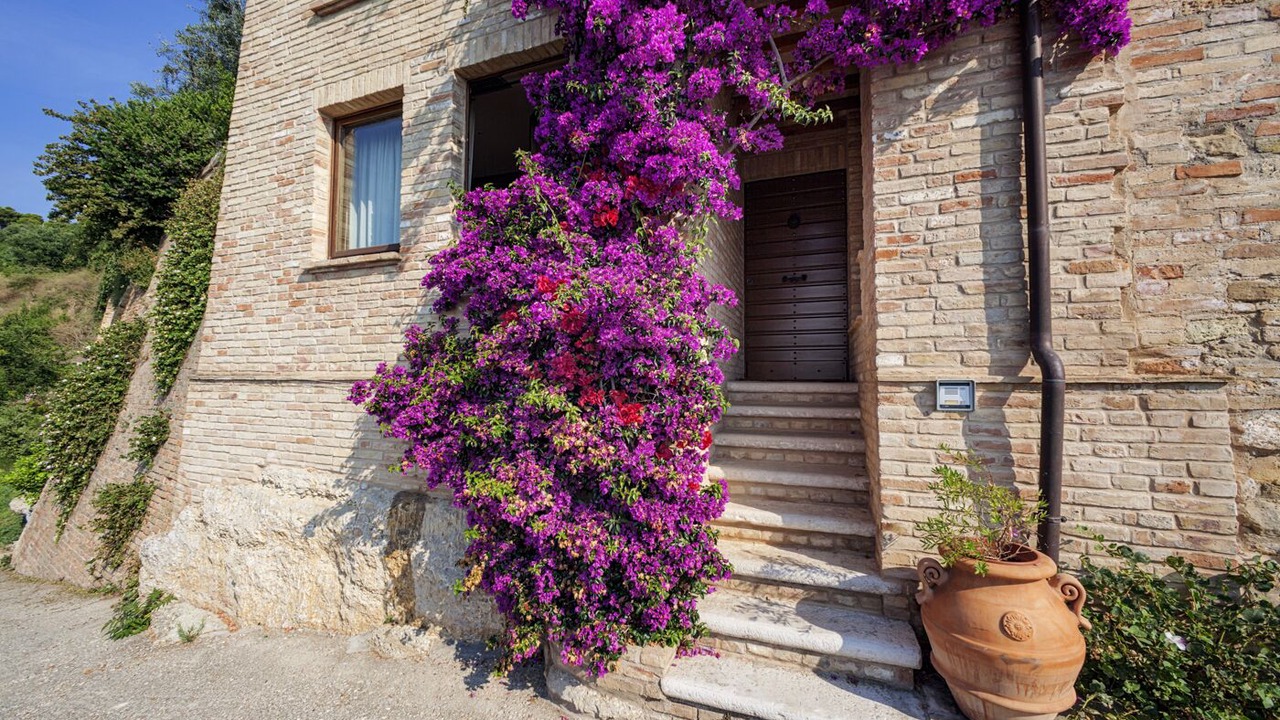 Photo of Outdoor in Cupra Marittima