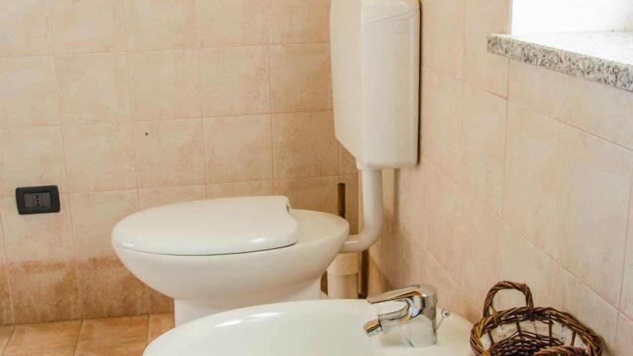 Photo of Bathroom in Bionaz