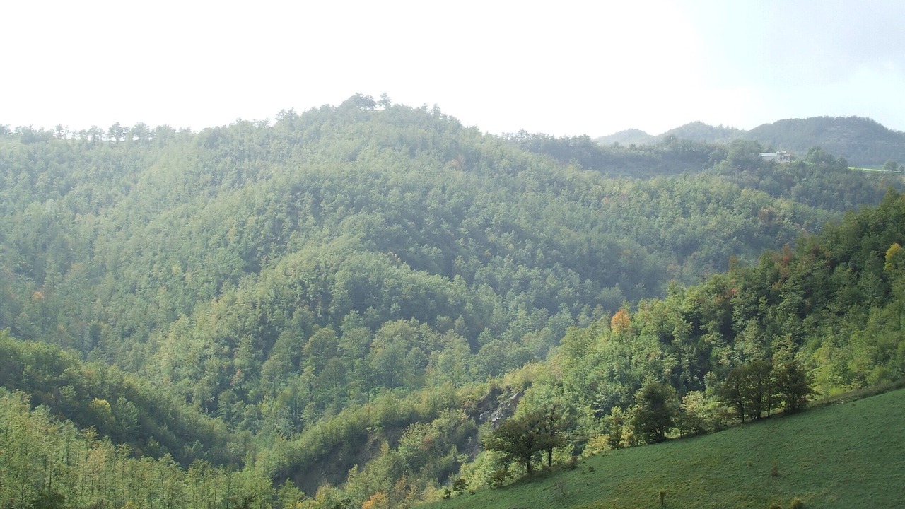 Photo of Others in Apecchio