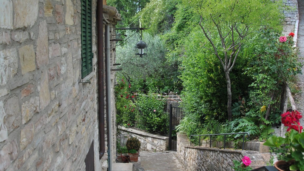 Photo of Outdoor in Assisi