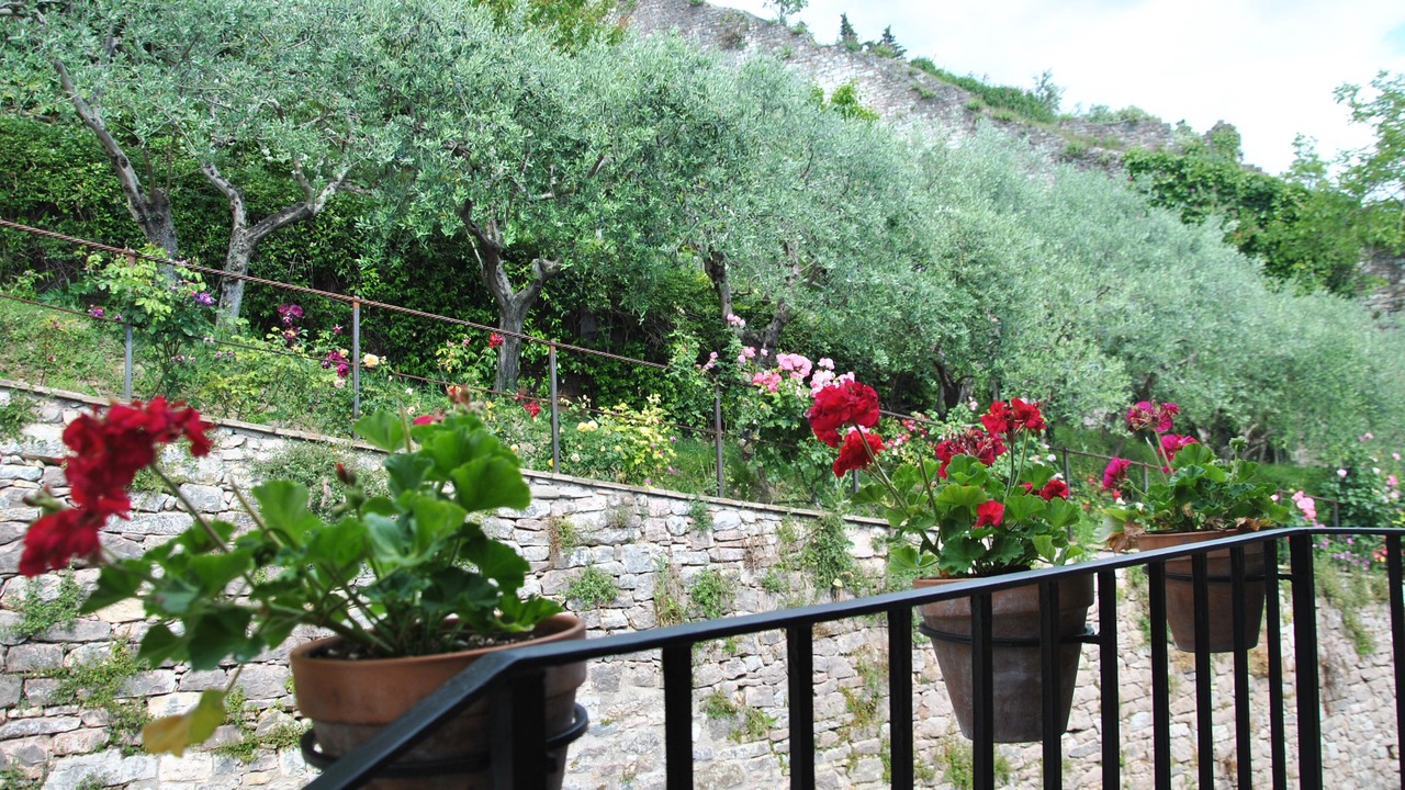 Photo of Outdoor in Assisi