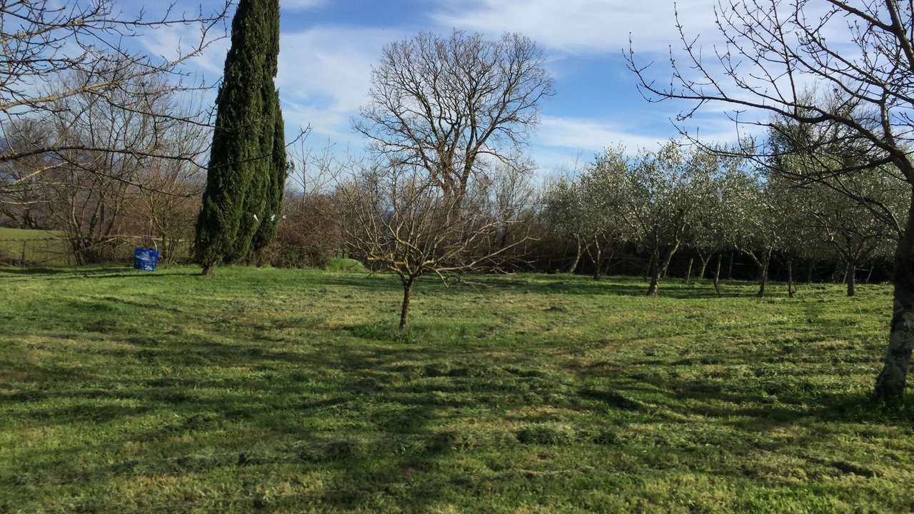 Photo of Outdoor in Murci