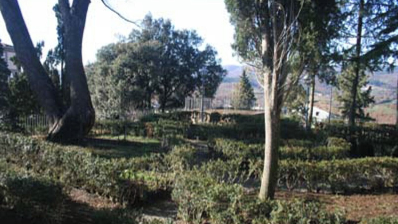 Photo of Outdoor in San Venanzo