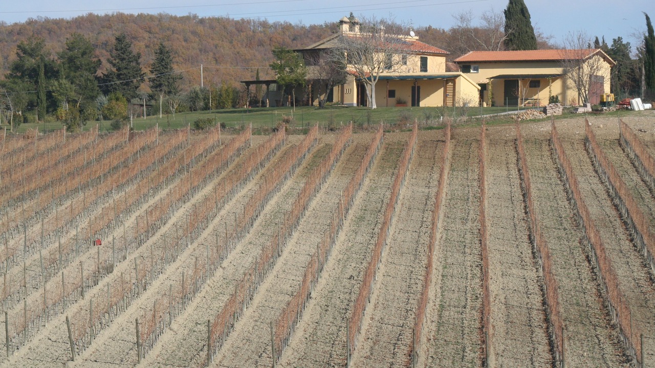 Photo of Outdoor in Manciano