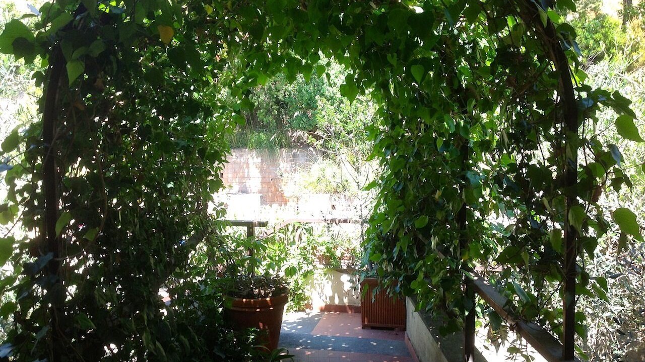 Photo of Outdoor in Porto Ercole