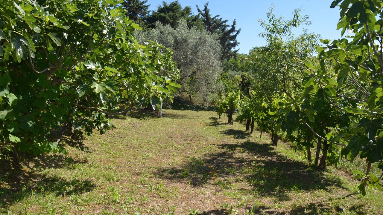 Photo of Outdoor in Collecorvino