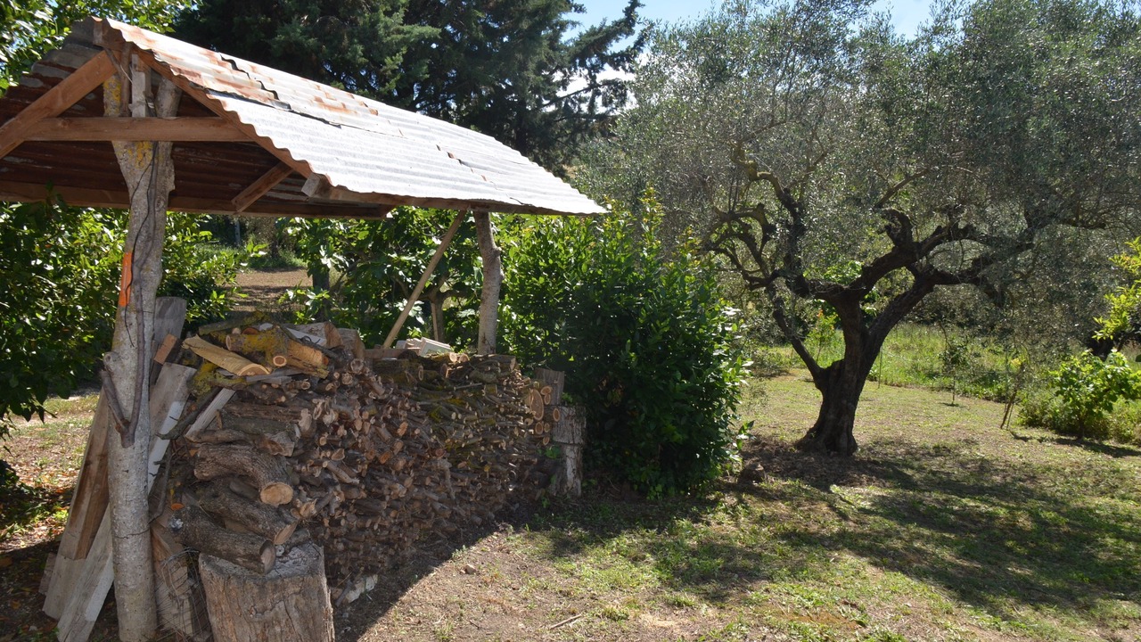 Photo of Outdoor in Collecorvino