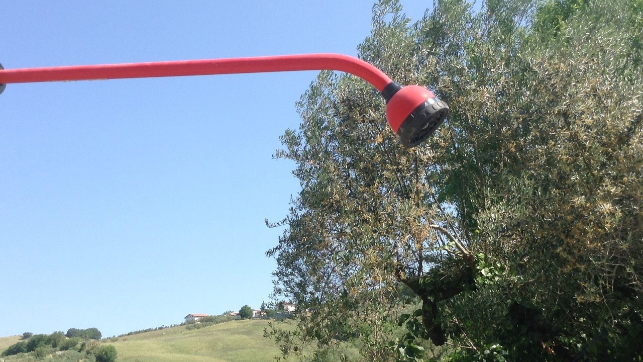 Photo of Outdoor in Collecorvino