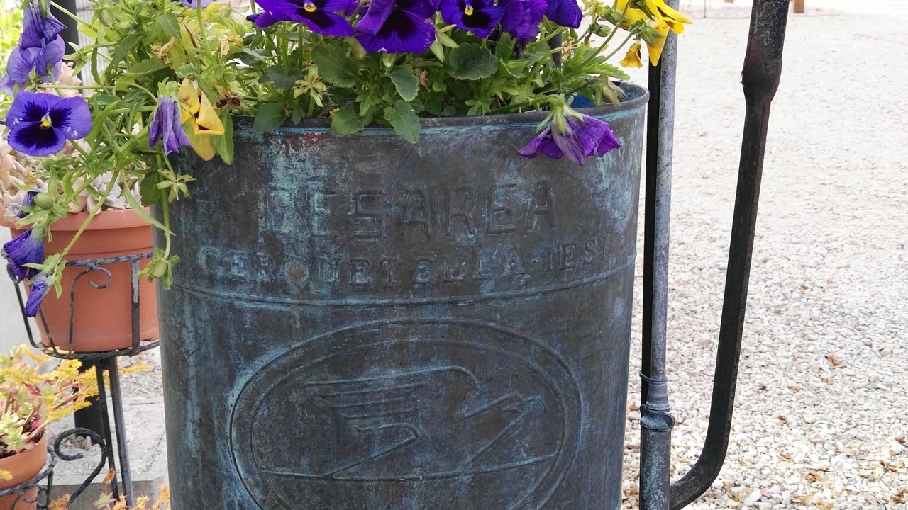 Photo of Outdoor in Spello