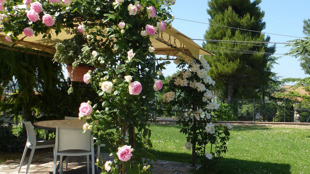 Photo of Outdoor in Osimo
