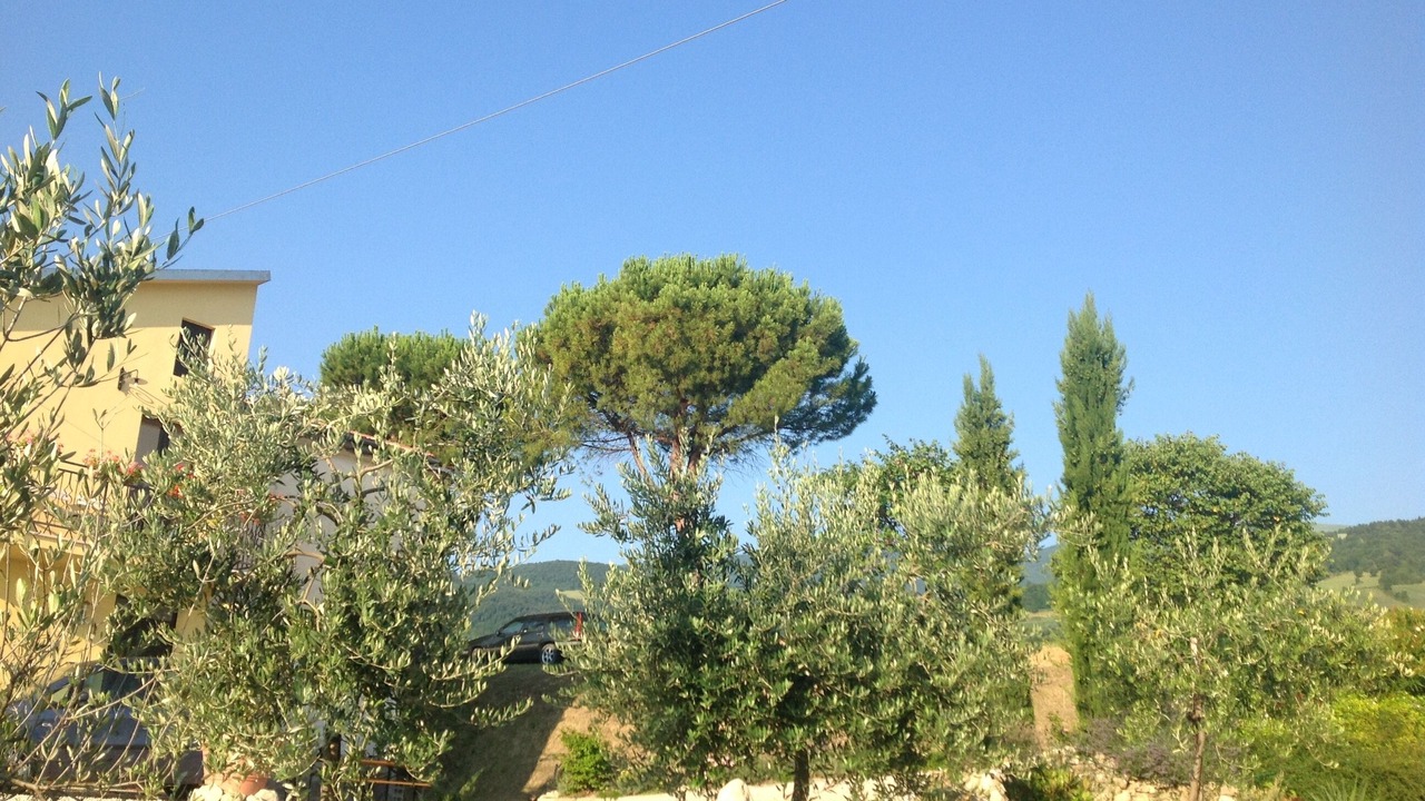 Photo of Outdoor in Montebello di Bertona