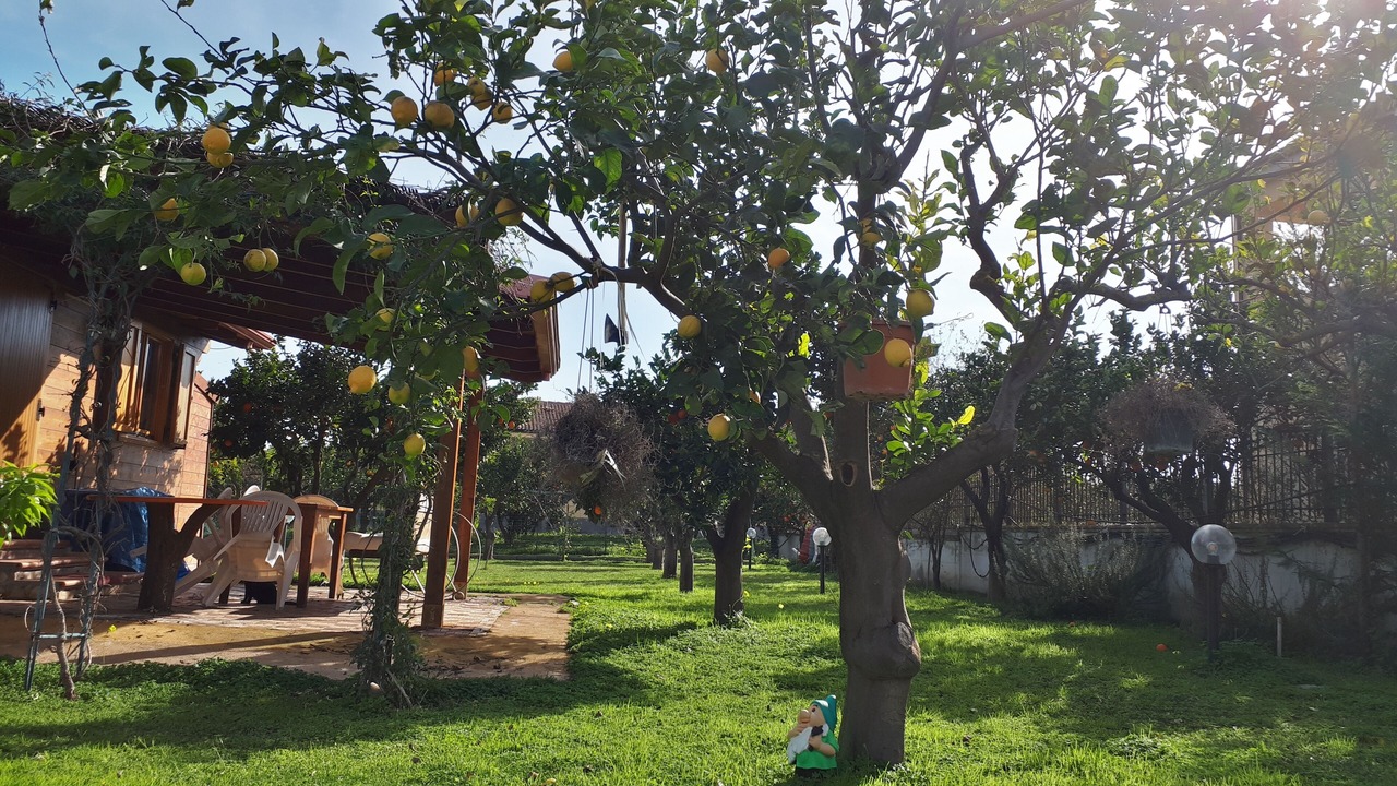 Photo of Outdoor in Crotone