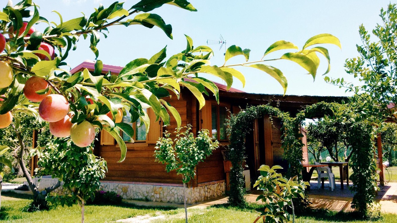 Photo of Outdoor in Crotone