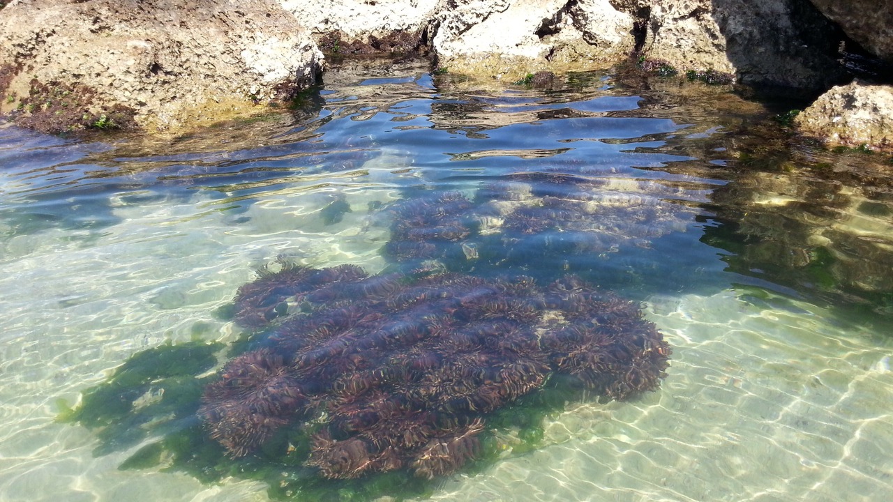 Photo of Outdoor in Francavilla al Mare
