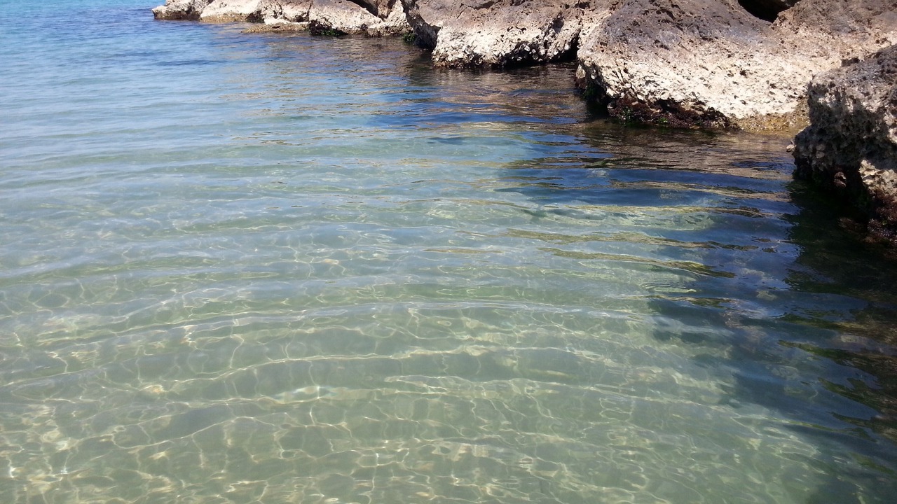 Photo of Others in Francavilla al Mare