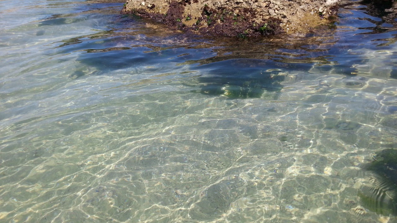 Photo of Others in Francavilla al Mare