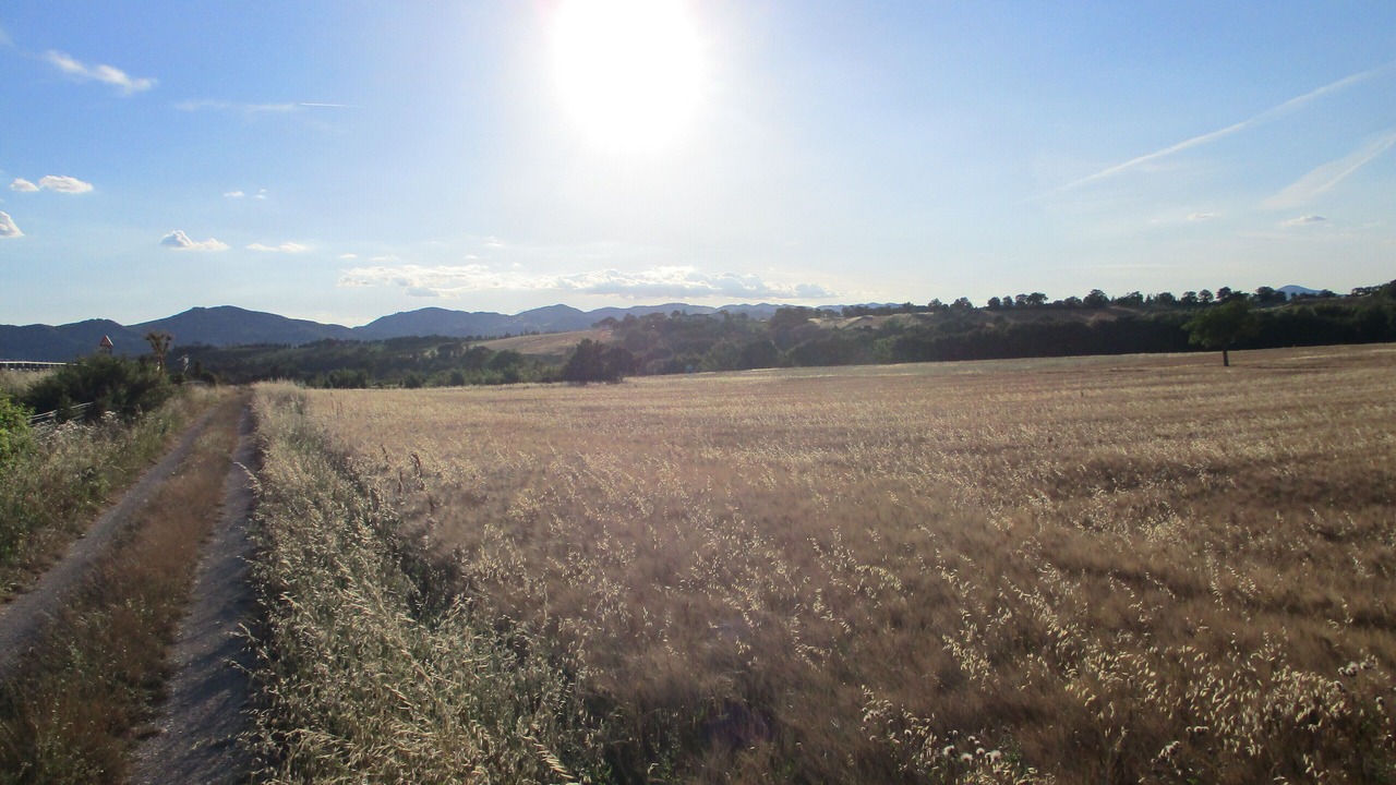 Photo of Others in Fossato di Vico