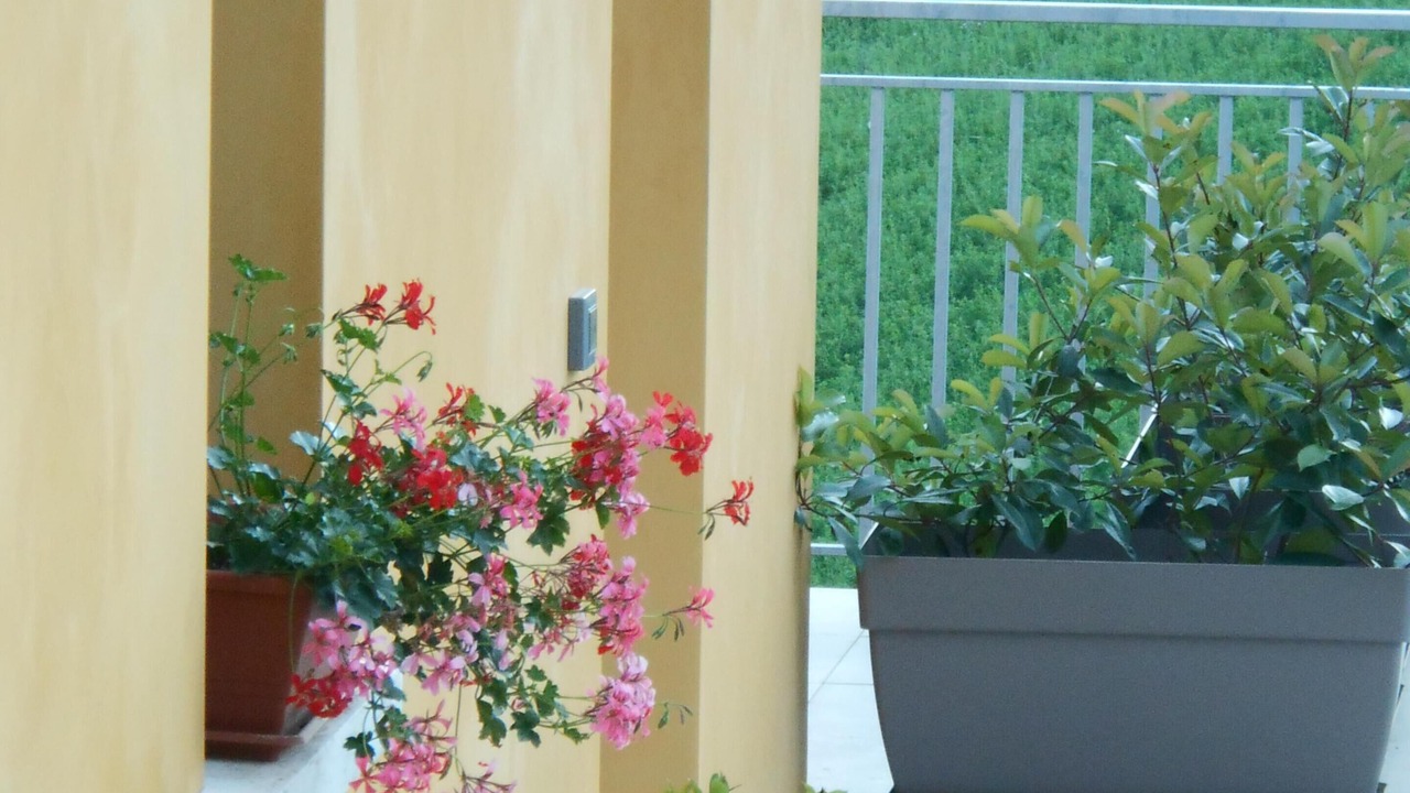 Photo of Others in San Ginesio