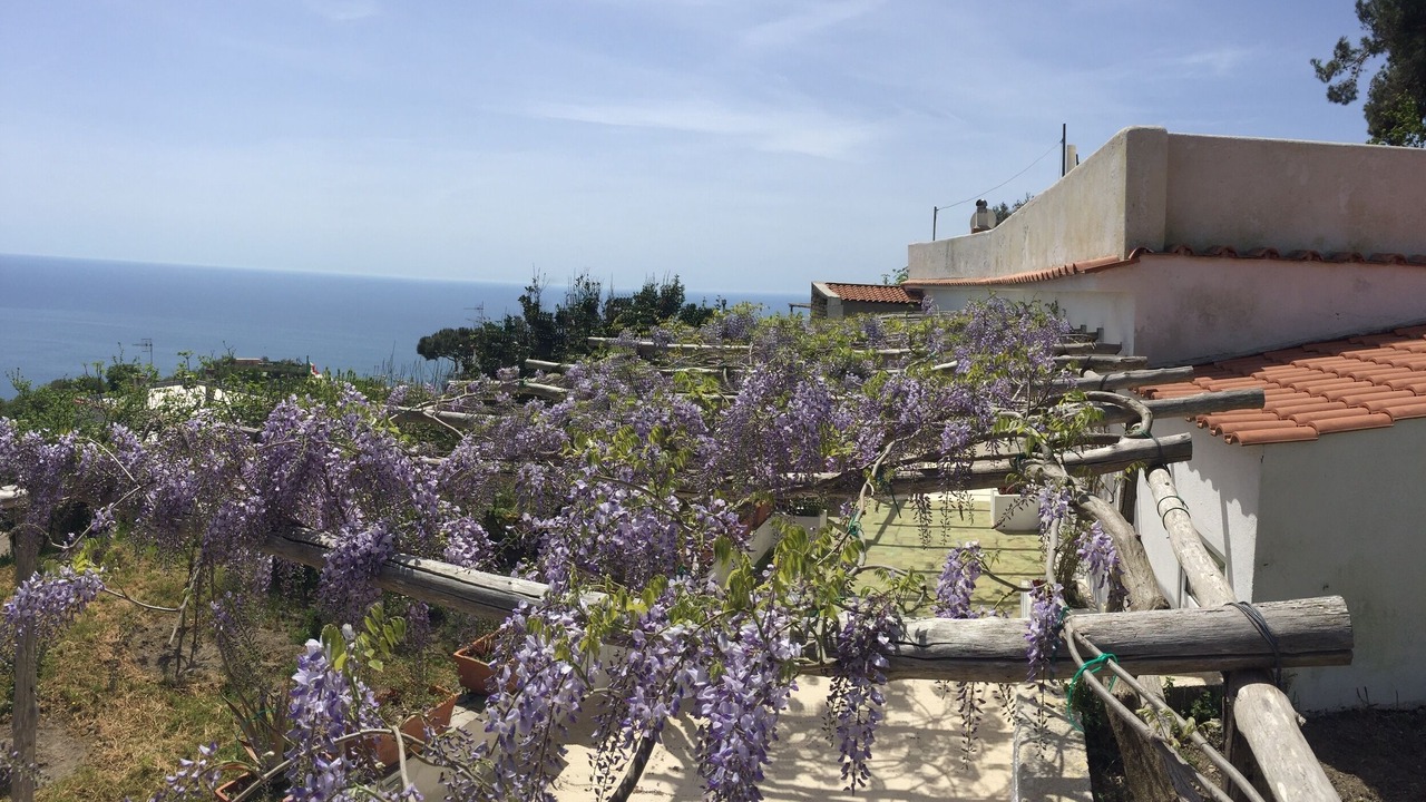 Photo of Outdoor in Serrara Fontana