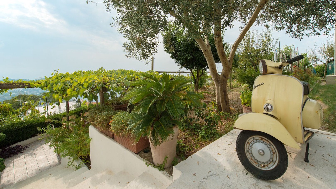 Photo of Outdoor in Serrara Fontana