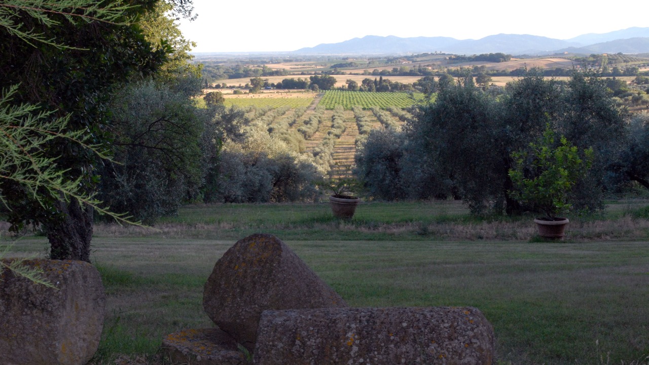 Photo of Outdoor in Roccastrada